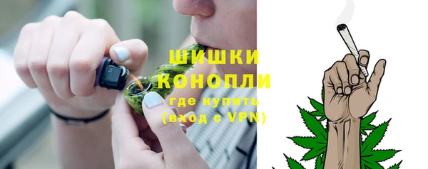 соль ск Гусь-Хрустальный