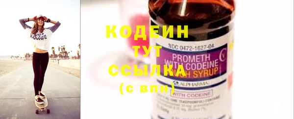 шишки Тайга