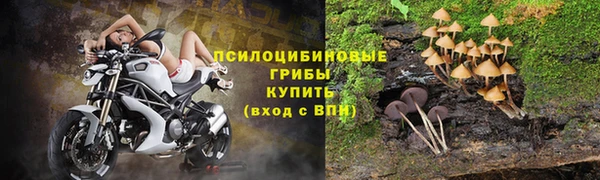 стаф Гусиноозёрск