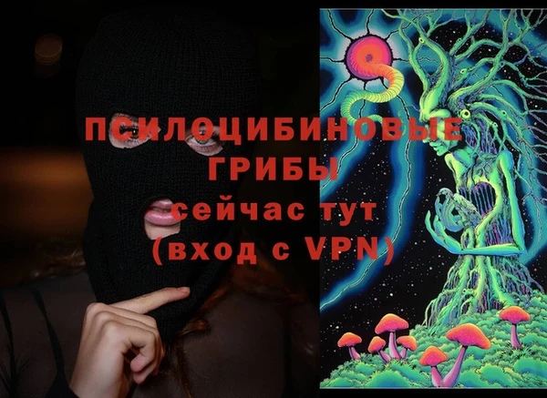 соль ск Гусь-Хрустальный