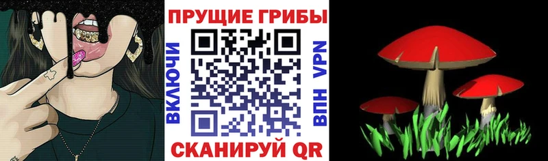 Псилоцибиновые грибы MAGIC MUSHROOMS  кракен онион  Кола 